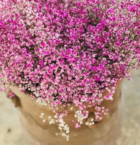 Eos - De Charme Et Confort Pour 4 Personnes Pres De La Et Du Coeur De Koufonissi 아파트